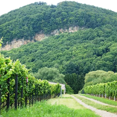 ホテル Haus Am Heiner Geissler Platz By Landgasthof Zickler