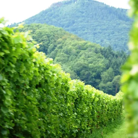 Haus Am Heiner Geissler Platz By Landgasthof Zickler *