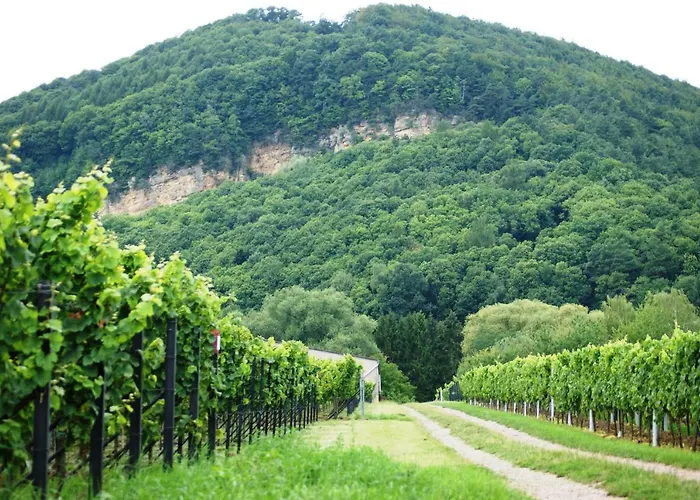 ホテル Haus Am Heiner Geissler Platz By Landgasthof Zickler