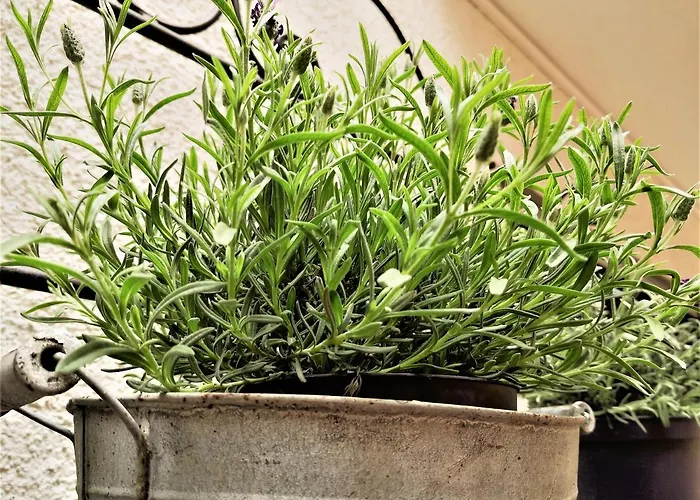 Haus Am Heiner Geissler Platz By Landgasthof Zickler