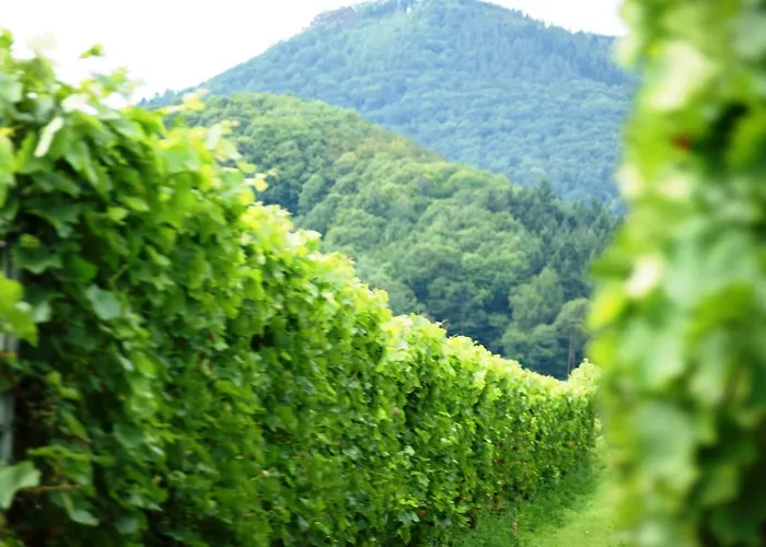 Haus Am Heiner Geissler Platz By Landgasthof Zickler *